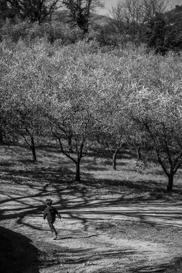 Locanda Agricola Posapiano Montecarlo